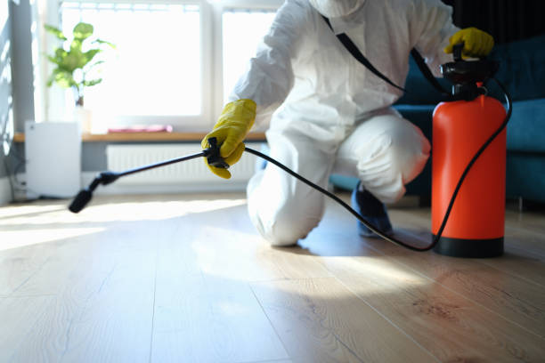 Reliable Unattended Death Cleanup contractor in Onyx, CA by Trauma Clean Pros